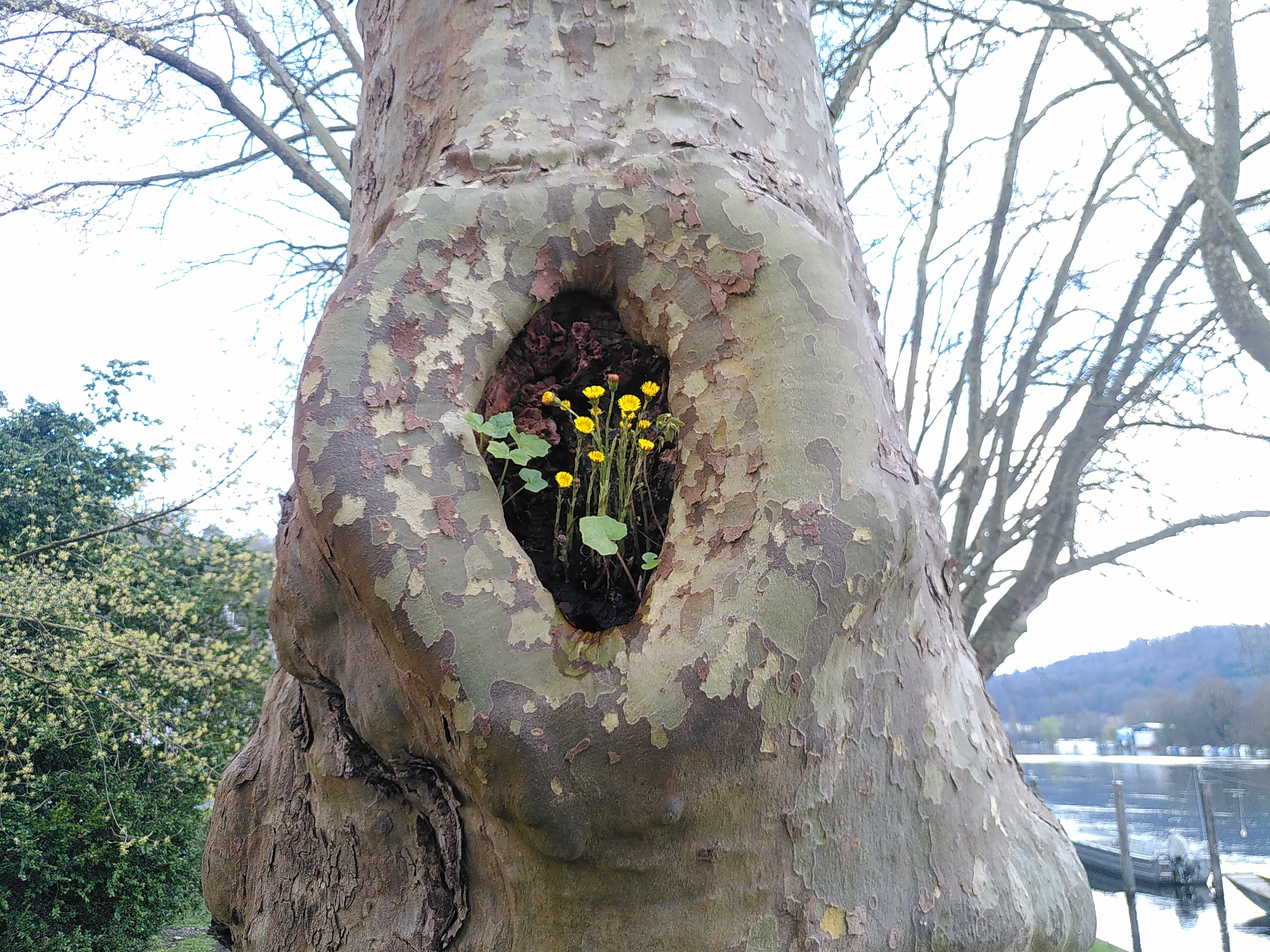 Ein schönes Zuhause